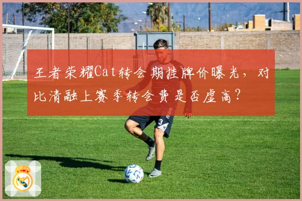 王者荣耀Cat转会期挂牌价曝光,对比清融上赛季转会费是否虚高?