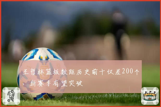 王哲林篮板数距历史前十仅差200个，新赛季有望突破
