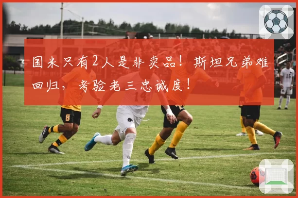 国米只有2人是非卖品！斯坦兄弟难回归，考验老三忠诚度！