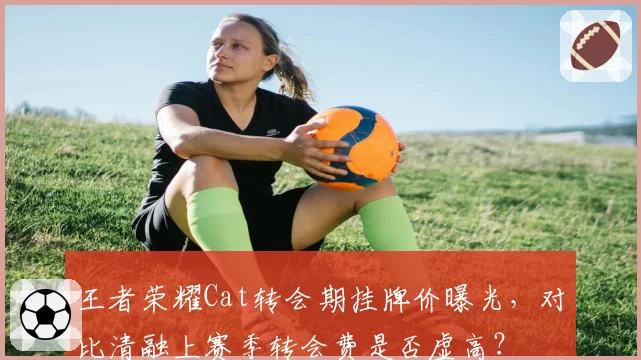 王者荣耀Cat转会期挂牌价曝光,对比清融上赛季转会费是否虚高?